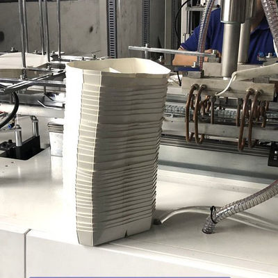 Document Plastic Lunchvakje die het Multinet van de Machinesandwich vormen